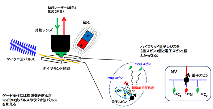 図３