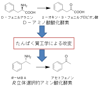 一酸化窒素供与型COX阻害薬