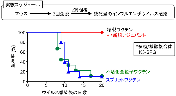 図３