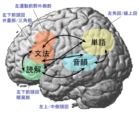 図１