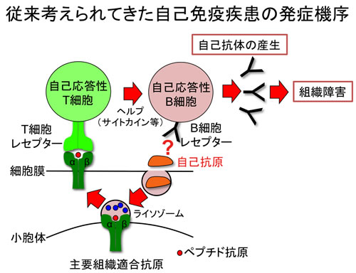 図１