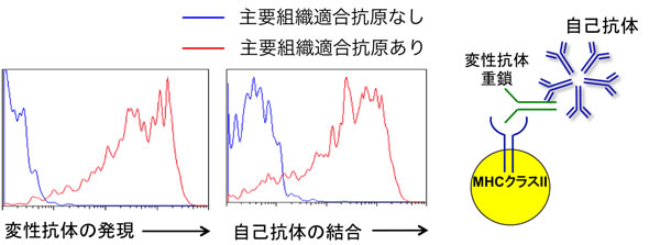 図３