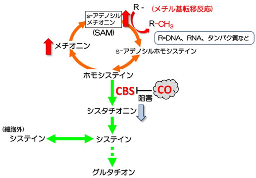 図１