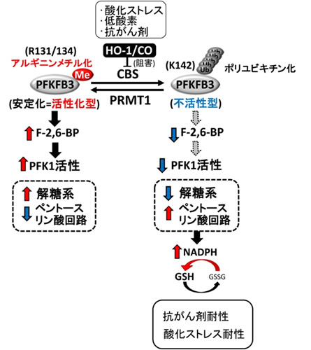 図５