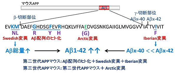 図３