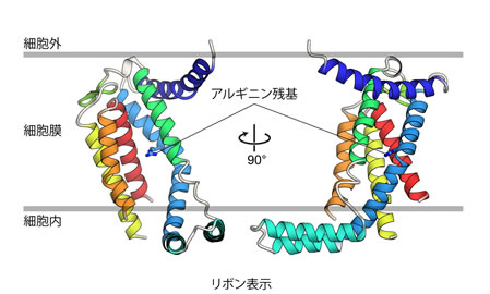 図１