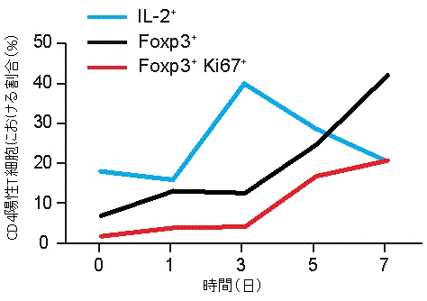 図１