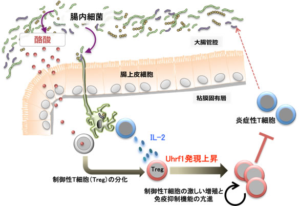 図６