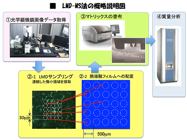 図１