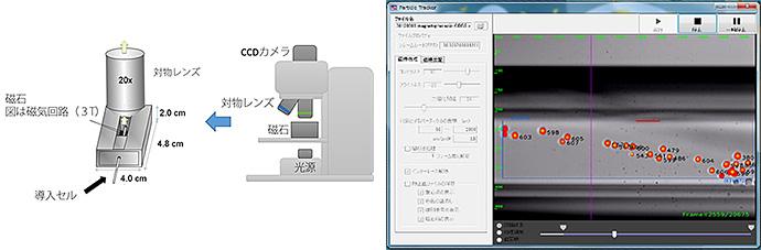 図１