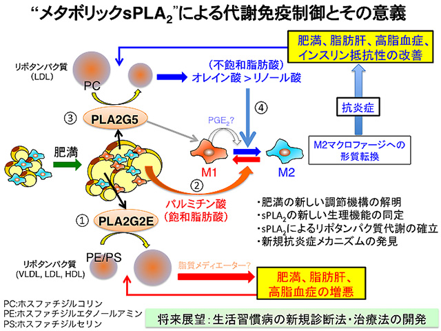 図２