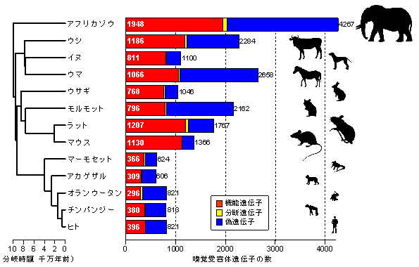 エクセル 相関係数 グラフ エクセル2010