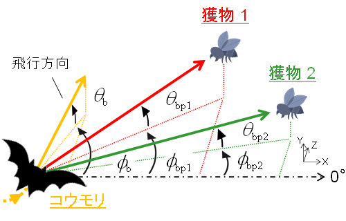 共同発表 コウモリが超音波で行く先を 先読み し ルート選択を行うことを発見