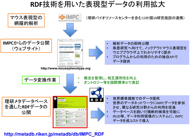 共同発表：マウスの大規模解析データを世界へ～国際標準規格の技術を