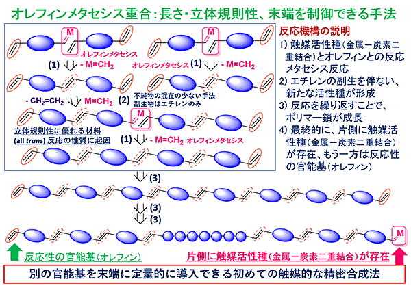 共同発表：高機能な導電性ポリマーの精密合成法を開発～有機