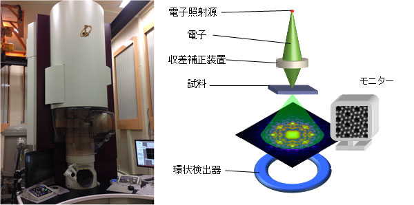 走査型透過電子顕微鏡