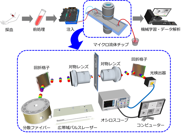 図１　本研究における血小板凝集塊検出方法の流れとＯＴＳ顕微鏡の模式図