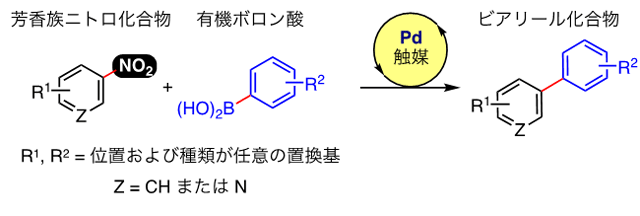 図　芳香族ニトロ化合物のクロスカップリング
