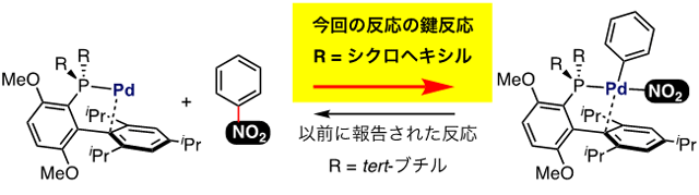 図２　芳香族炭素ーニトロ基結合の切断と形成