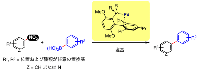 図３　今回開発した芳香族ニトロ化合物の鈴木ー宮浦クロスカップリング反応