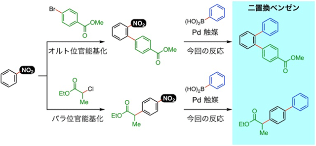 図４　ニトロベンゼンの既知反応と今回開発した反応を利用した二置換ベンゼンの効率的合成