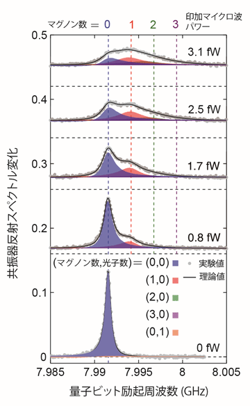 図２　超伝導量子ビットを介したマグノンの個数分布の観測結果