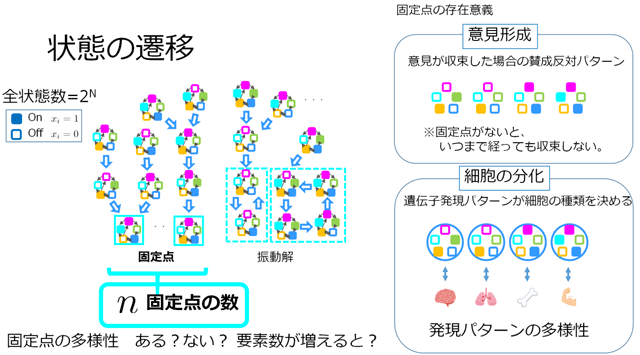 図１　ブーリアンネットワークの状態遷移と固定点の存在意義