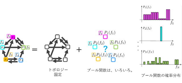 図２　ブーリアンネットワークのブール関数を確率分布に従って割り振る概念図