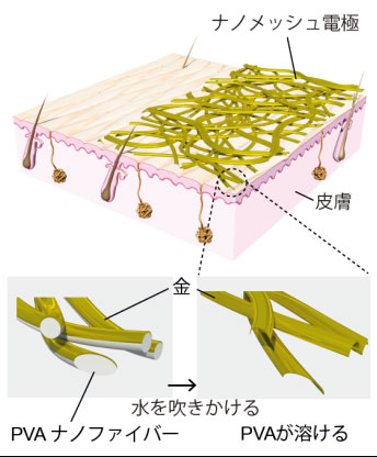 図１　ナノメッシュ電極の構造と装着方法