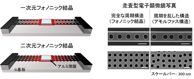 図３　測定に用いた一次元および二次元フォノニックナノ構造の概略図（左）と走査型伝顕微鏡写真