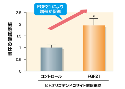 図３