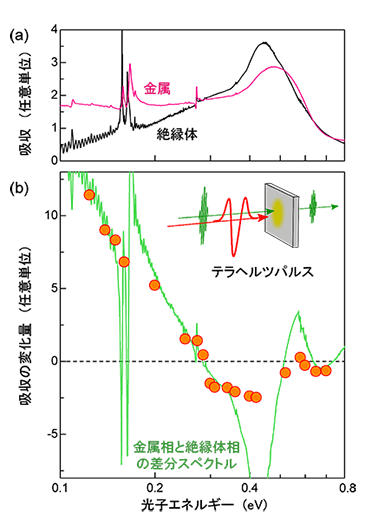 図２　（ａ）１０Ｋにおけるκ－（ＥＴ）２Ｃｕ［Ｎ（ＣＮ）２］Ｂｒの吸収スペクトル