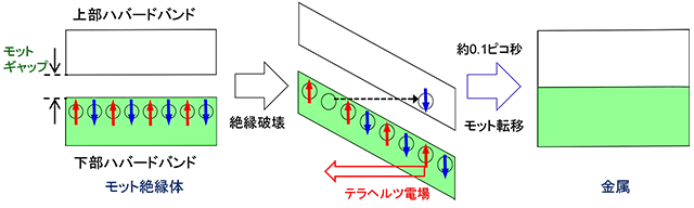 図３　テラヘルツパルス光の電場成分による絶縁体―金属転移の模式図