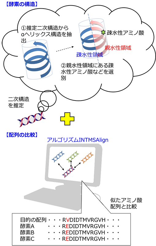 図３　可溶性発現技術