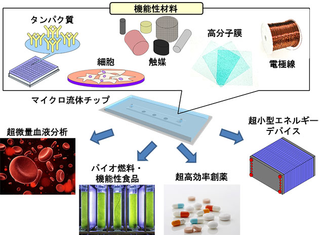 図４　本研究成果の応用展開