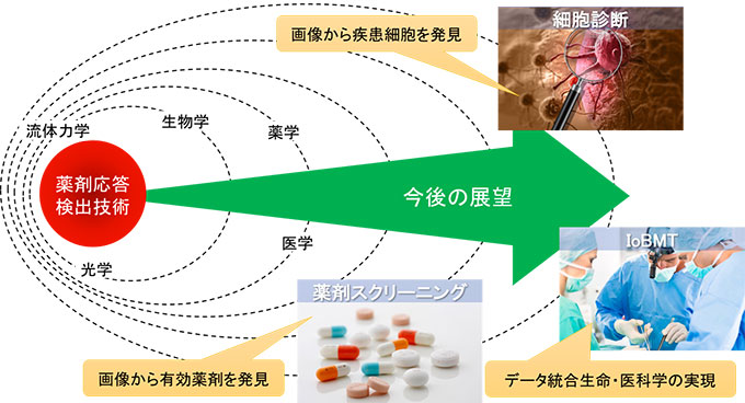 図３　今後の展望