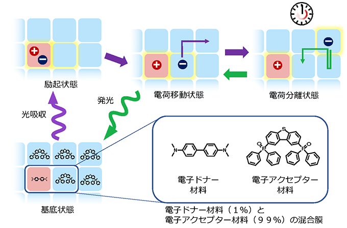 図　有機蓄光の発光メカニズム