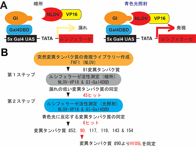 図１