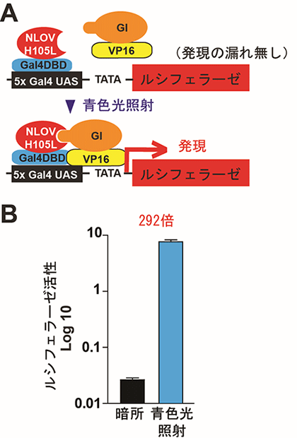 図４