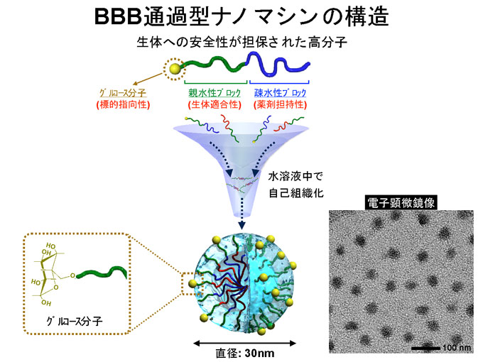 図２　ＢＢＢ通過型ナノマシンの構造