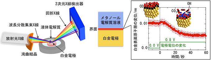 今回開発した固液界面での原子のリアルタイム観察の概念図