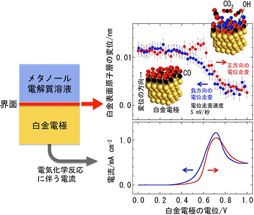 図２　メタノール電気分解での白金電極の表面原子の位置変化（右上）と 電極から流れる電流の変化（右下）