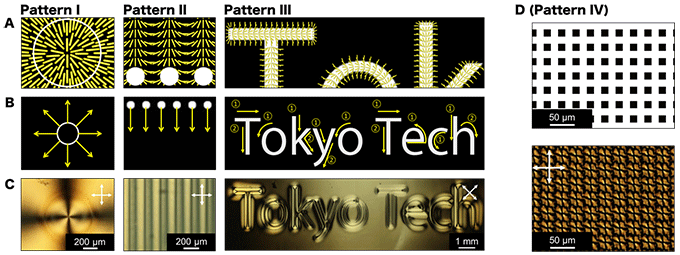 図２　動的光重合により形成した多種多様な配向パターン例