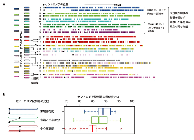 図２