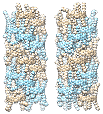 図３　筒状分子が形づくる二重らせん（図１を横から見た図）
