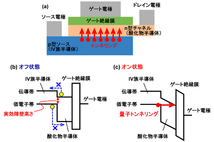 図１　本研究で提案する酸化物半導体／ＩＶ族半導体接合トンネルＦＥＴの素子構造と、オフ状態およびオン状態におけるエネルギーバンド図