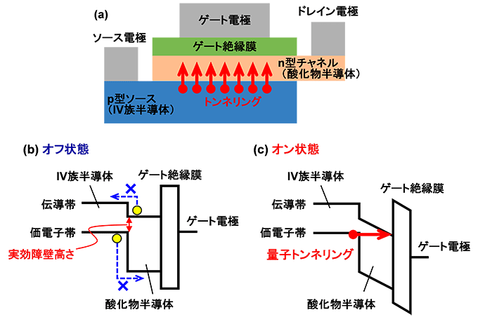 共同発表 超低消費電力ｌｓｉを可能にする新構造トランジスターを開発 量子トンネル効果を駆使 ｉｏｔの電池寿命を大幅に延長