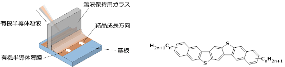 図２　溶液の非対称形状を利用した有機半導体単結晶膜の製法と有機半導体材料（ＤＮＢＤＴ）