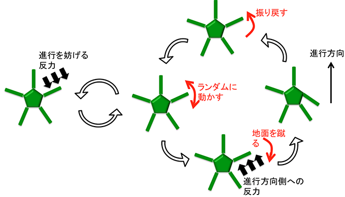 図２