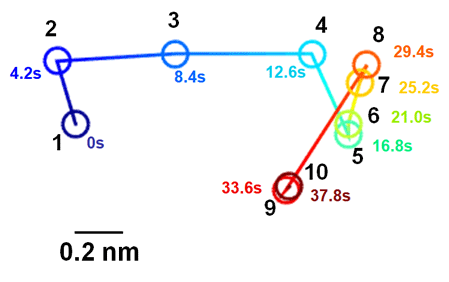 図２　本研究で観察されたイオン液体中の金イオンの動きの軌跡